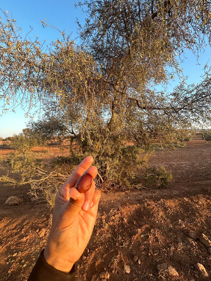 Cofanetto olio di argan alimentare + cosmetico 🌱